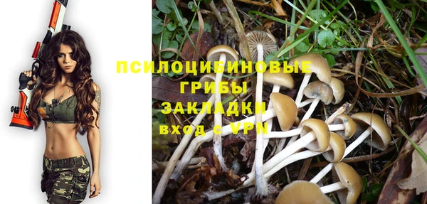 гидропоника Абаза