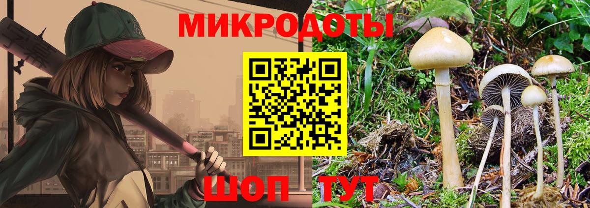 Галлюциногенные грибы Magic Shrooms Тихвин