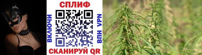 Бошки Шишки конопля  Тихвин 